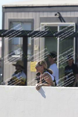 media/Nov-02-2025-CVMA (Sun) [[337aff29ab]]/Race 9-Middleweight Shootout/